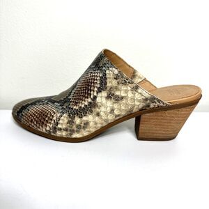 Frye & Co Jacy Mule Snake Skin Print Leather Women's Size 9.5 M